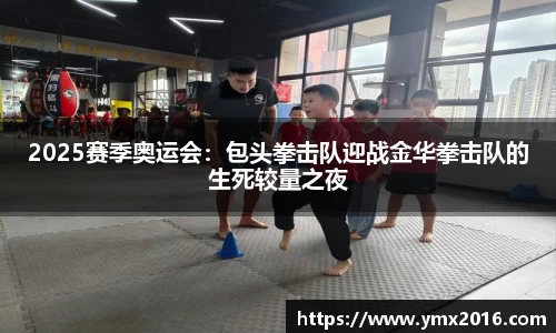 2025赛季奥运会：包头拳击队迎战金华拳击队的生死较量之夜