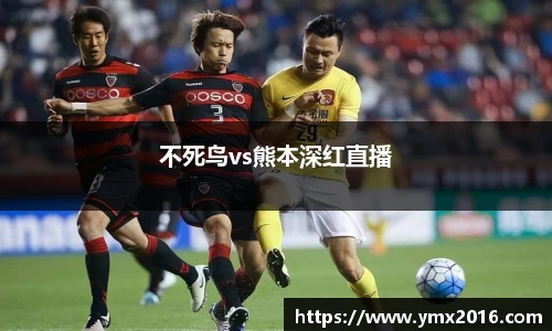 不死鸟vs熊本深红直播